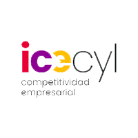 ICE Junta de Castilla y León