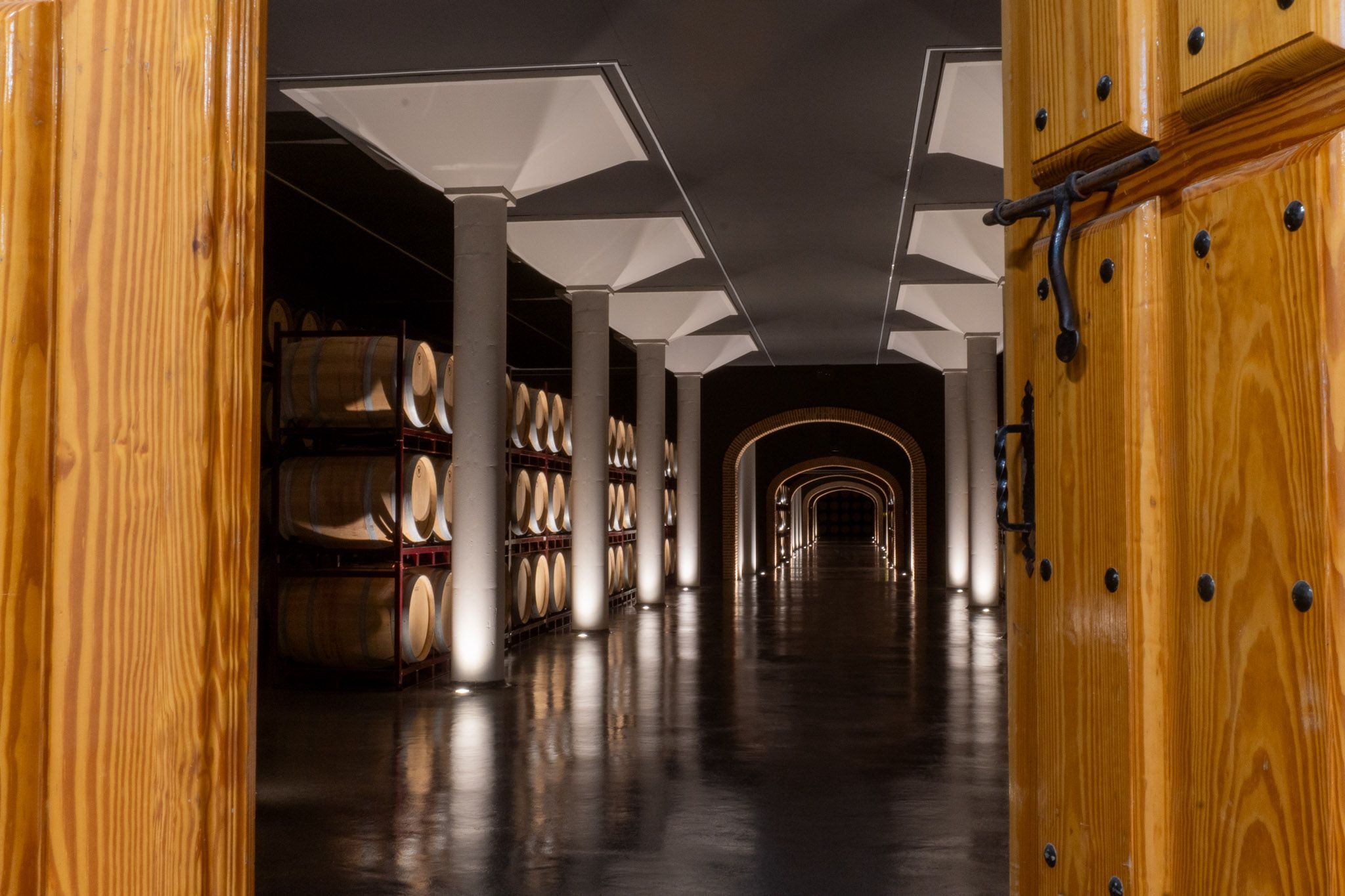 El reposo del vino en la bóveda silenciosa