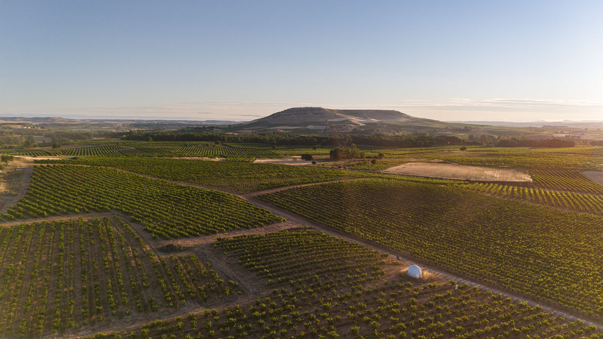 Visita Privada Viaje Enológico Bodegas Carmelo Rodero
